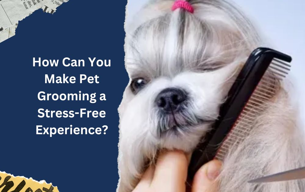 pet grooming in dubai