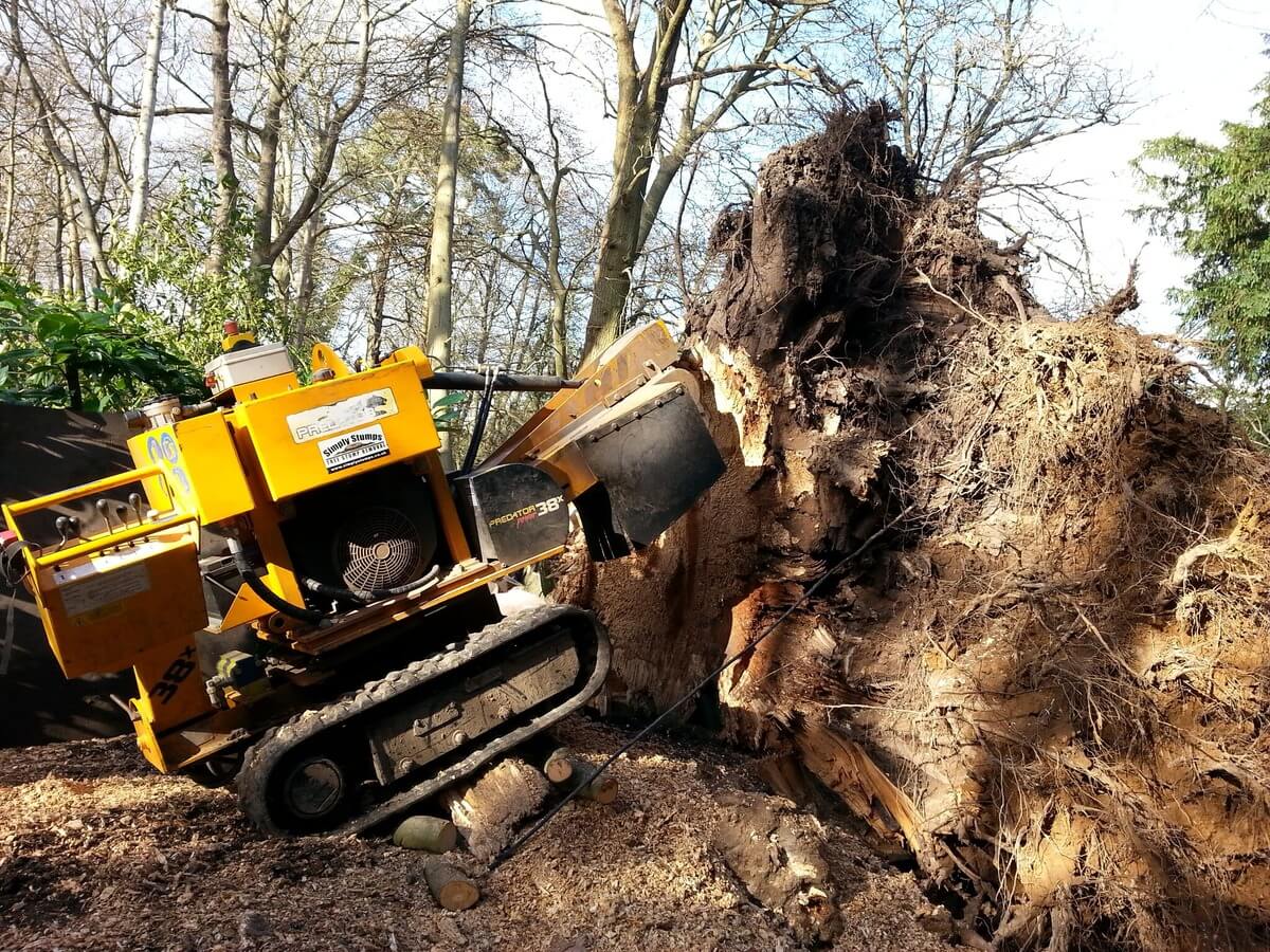 Stump Grinding