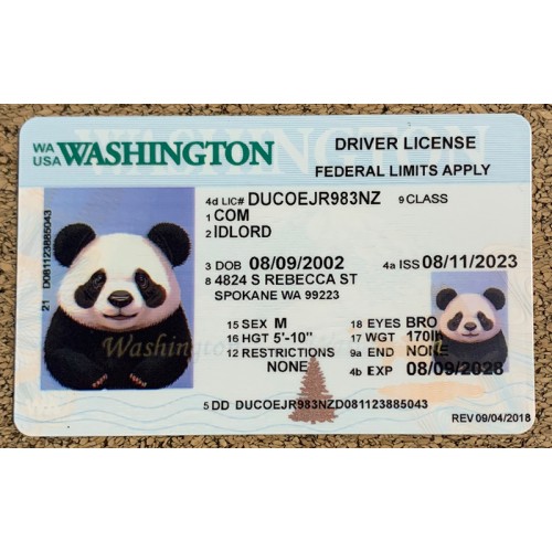 washington fake ids