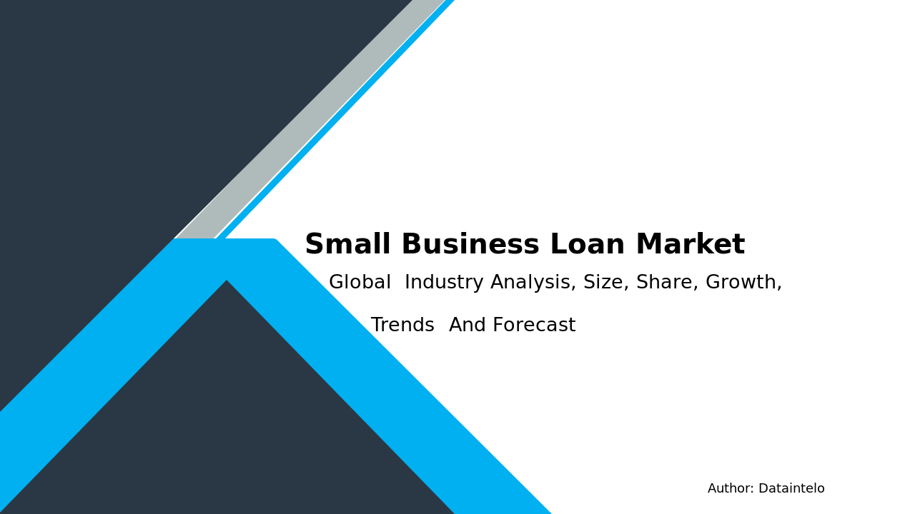 Small Business Loan Report Thumbnail