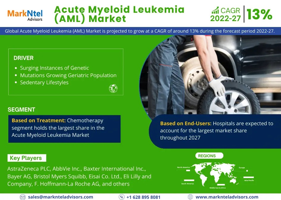 Acute Myeloid Leukemia Market