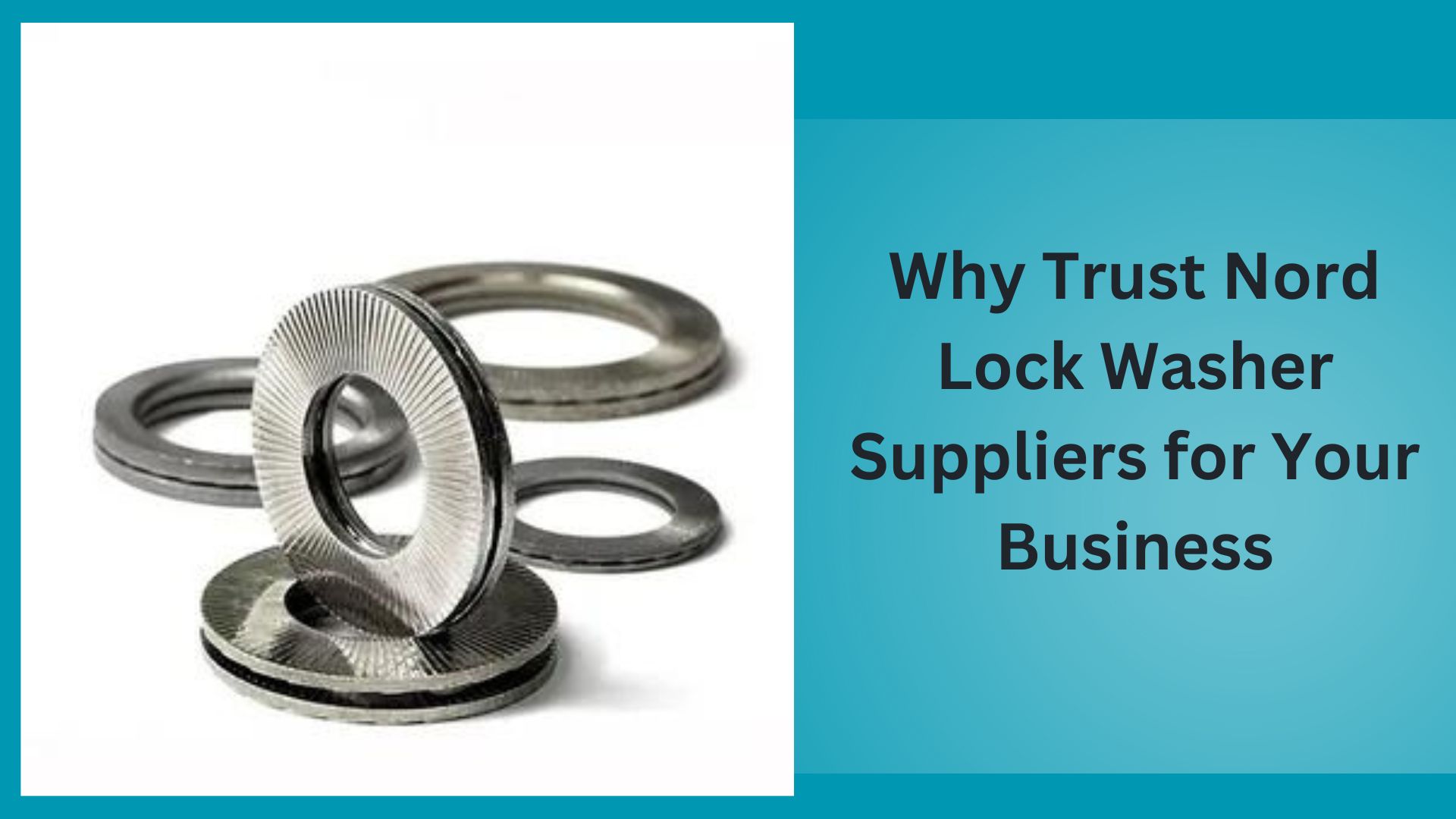 Why Trust Nord Lock Washer Suppliers for Your Business