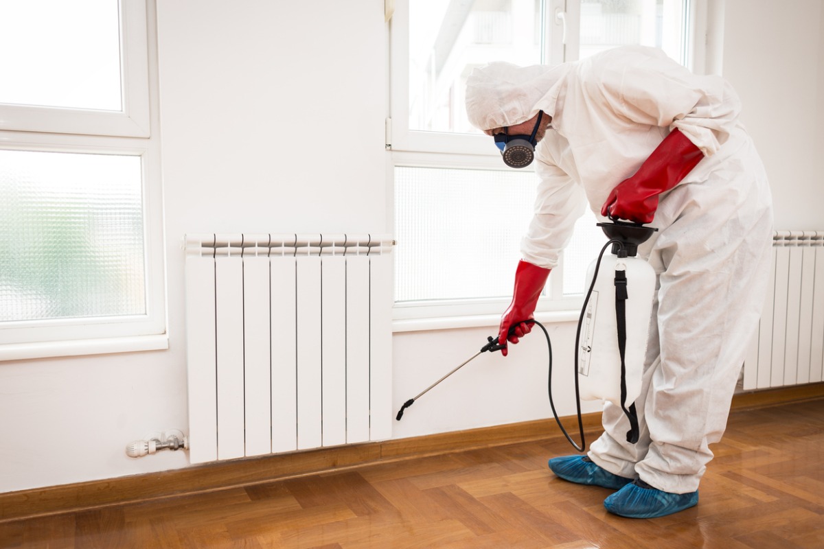 The Importance of Pest Control for Schools and Daycares