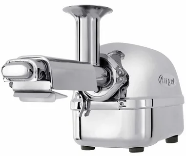 Angel Juicer 8500