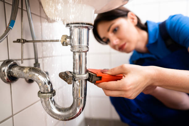 Plumber Carrum Downs