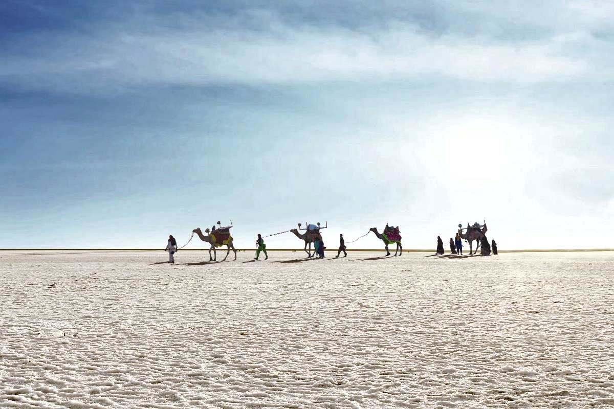 rann of kutch packages