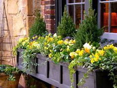 Cheap Window Boxes Texas