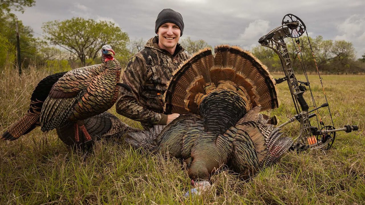 Best Practices for Hunting Turkeys During the Spring Season