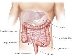 Colonic Treatment London