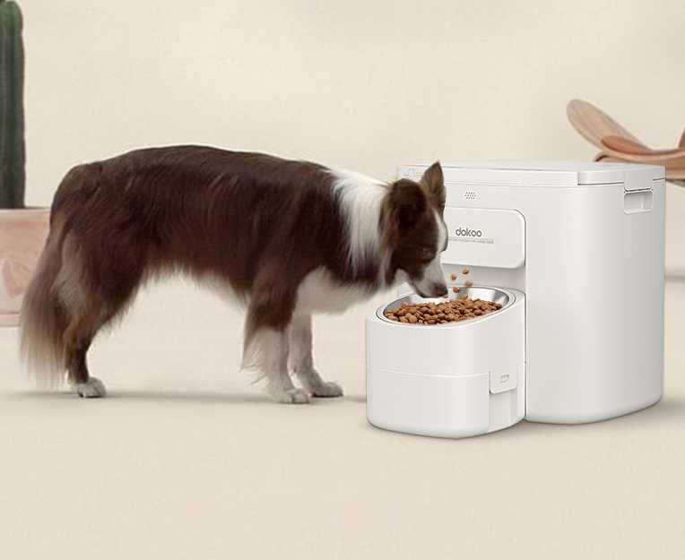 dokoo pet feeder for large dogs