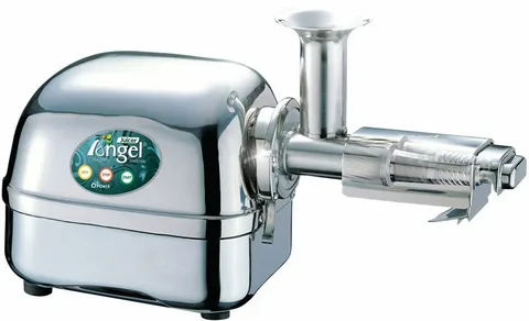 Angel Juicer 8500