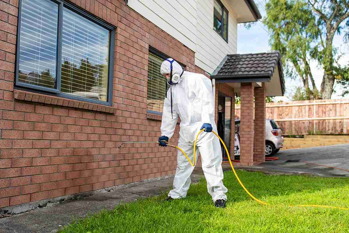 Pest Control in Surrey