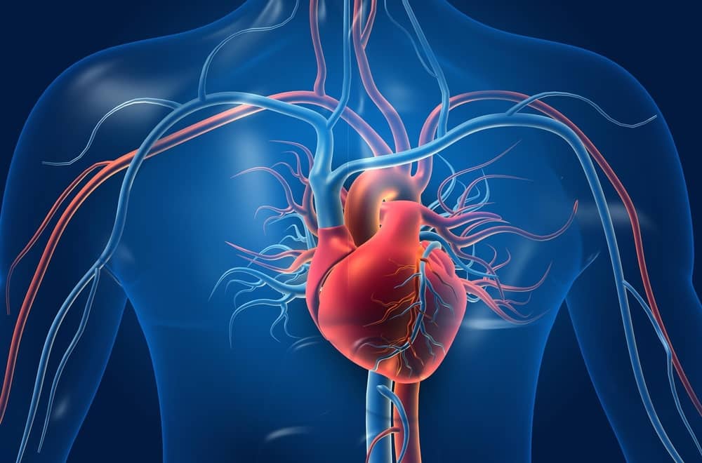 Acute Coronary Syndrome (ACS) Treatment Market