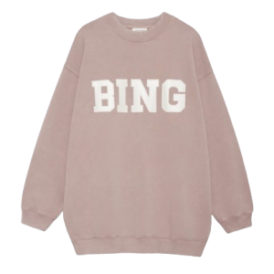 Anine Bing sweatshirt